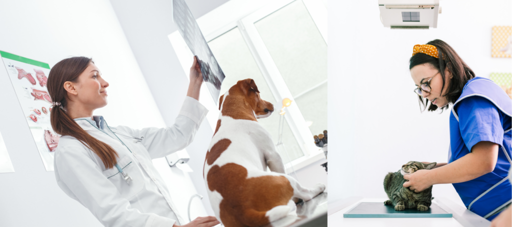 Veterinary Radiation Shielding Design for X-Ray
